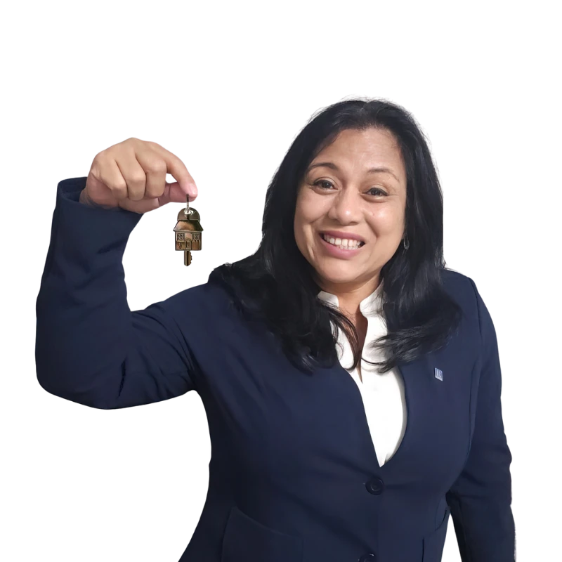 Guias para descargar
